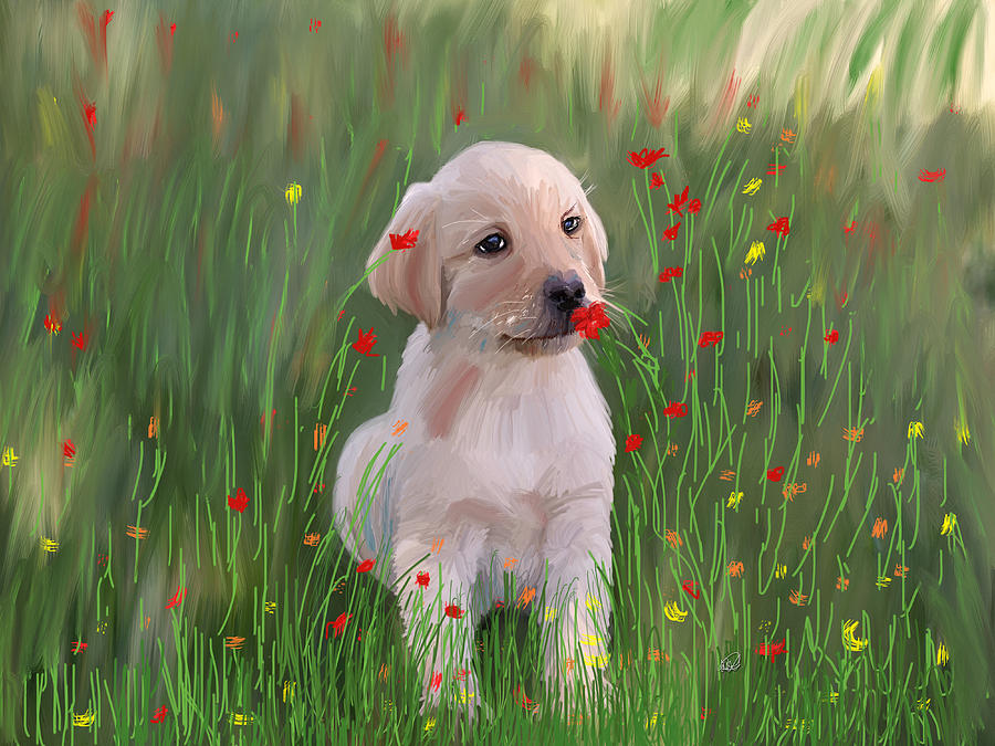 Golden Retriever Puppy  Painting by Angela Stanton