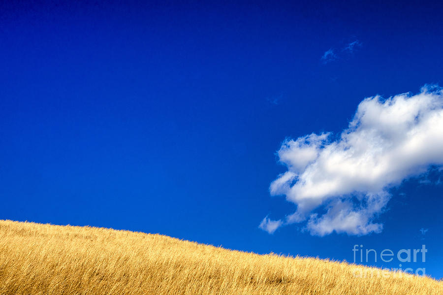 Golden Ridge Blue Sky Cloud Photograph