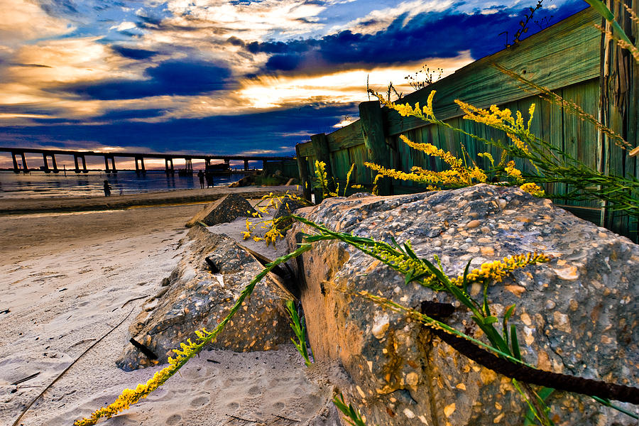 Golden Rod Sunset Wooden Fence Yellow Wildflowers Blue Green Art Photograph by Eszra Tanner