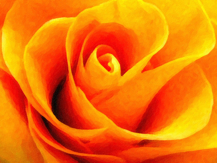 Golden Rose - Digital Painting Effect Photograph by Rhonda Barrett