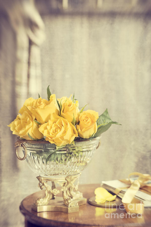 Rose Photograph - Golden Roses by Amanda Elwell