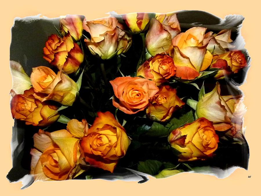 Golden Roses Photograph by Will Borden