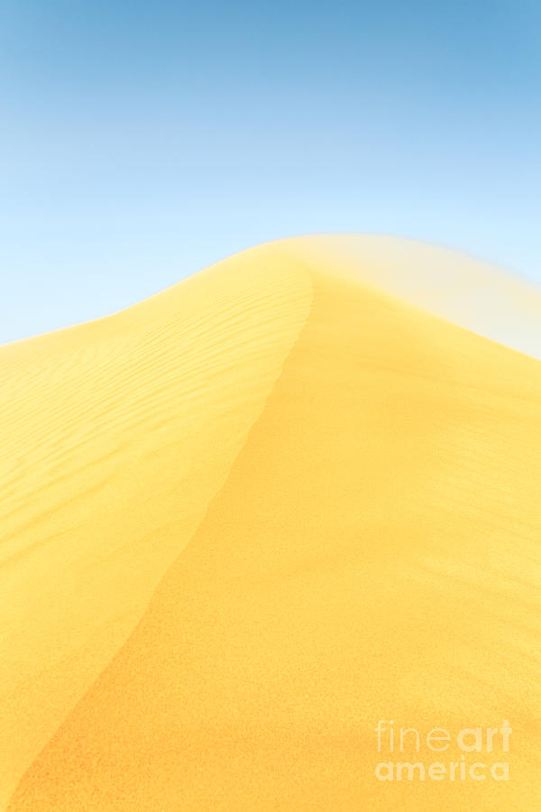 Golden sand dune Photograph by Matteo Colombo