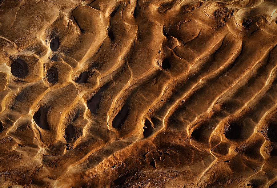 Golden Sand Photograph - Golden Sands by Gary Warnimont