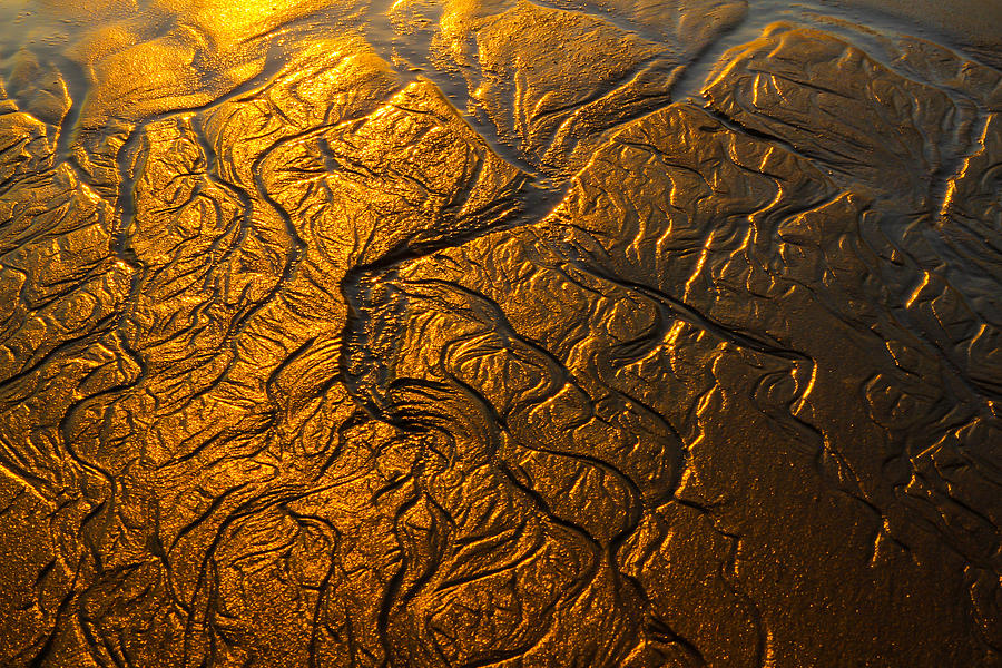 Golden sands Photograph by Howard Ferrier