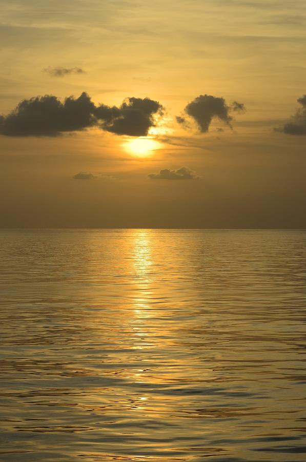 Golden sea Photograph by Bradford Martin