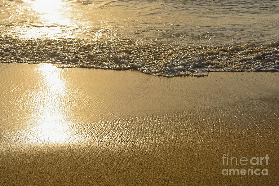 Pattern Photograph - Golden Seashore by Kaye Menner by Kaye Menner