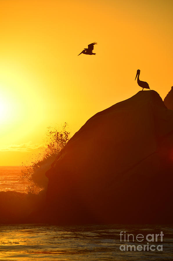 Sunset Photograph - Golden Serenity by Debra Thompson