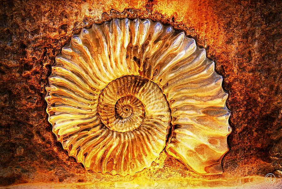 Golden shell Digital Art by Gun Legler