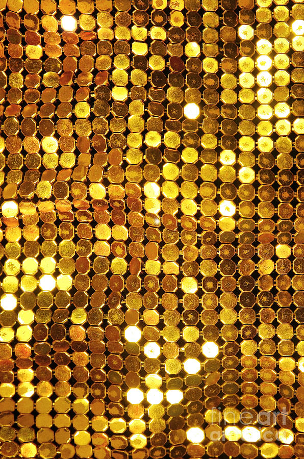 Golden Shining Mesh Photograph by Carlos Caetano