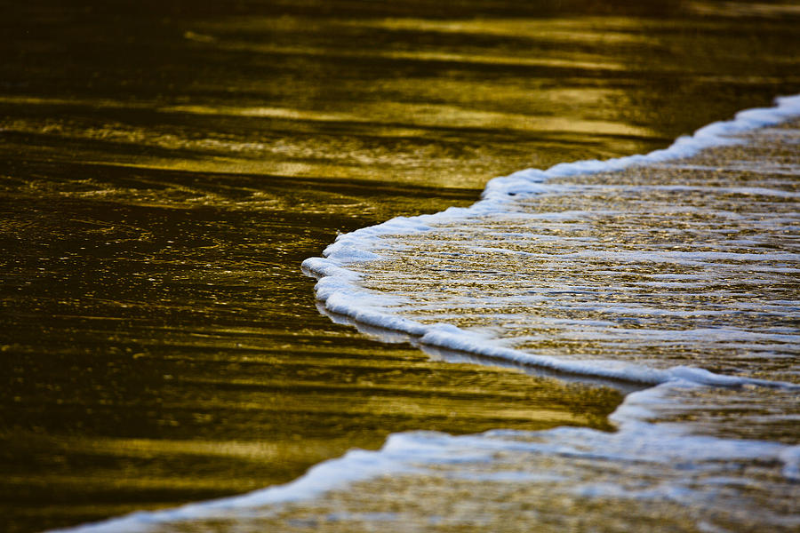 Golden Shore Photograph by Emilio Lopez