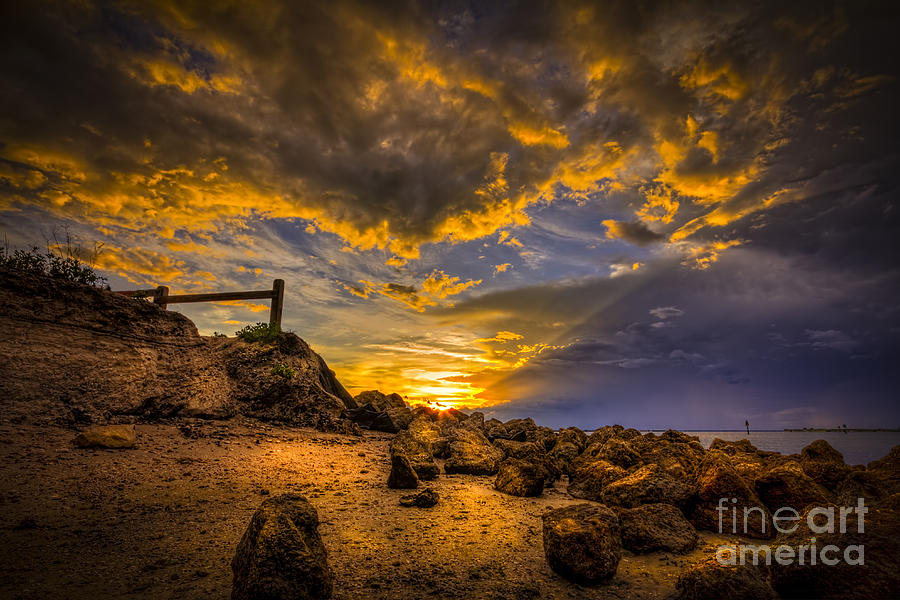 Golden Shore Photograph by Marvin Spates