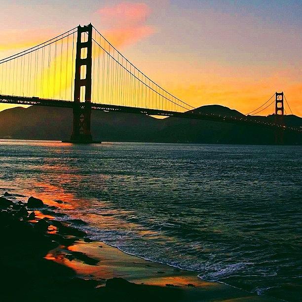 Sunset Photograph - Golden Silhouettes // Golden Gate by Karen Winokan