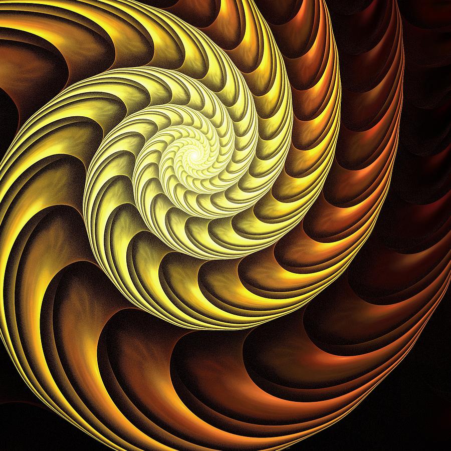 Golden Spiral Digital Art by Anastasiya Malakhova