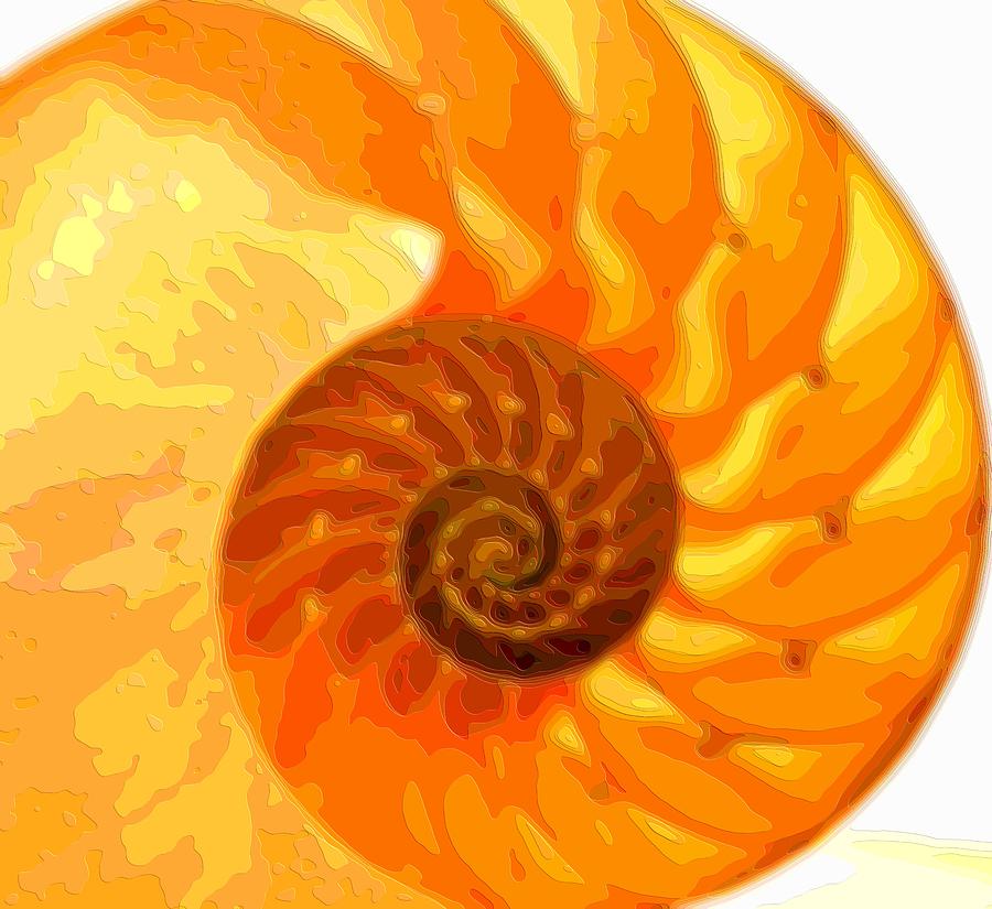 Seashell Digital Art - Golden Spiral Layer Art by Mary Clanahan