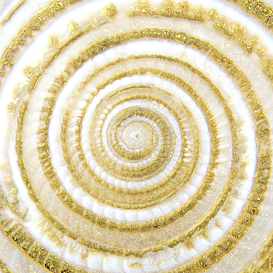Golden Spiral Photograph by Patricia Bolgosano