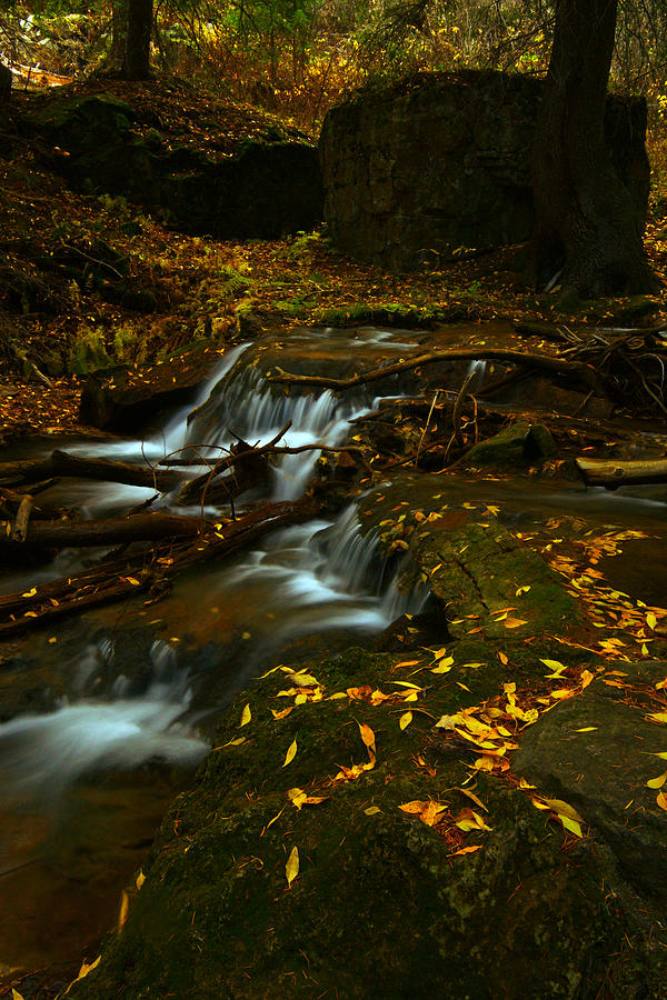 Fall Photograph - Golden Staircase by Jeremy Rhoades