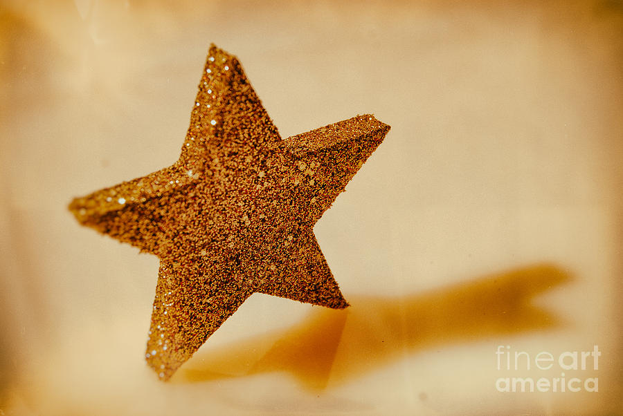Golden Star Photograph by Sabine Jacobs