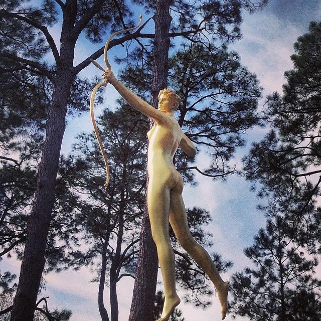 Tree Photograph - Golden. #statue #sculpture #garden by Mark Koenig