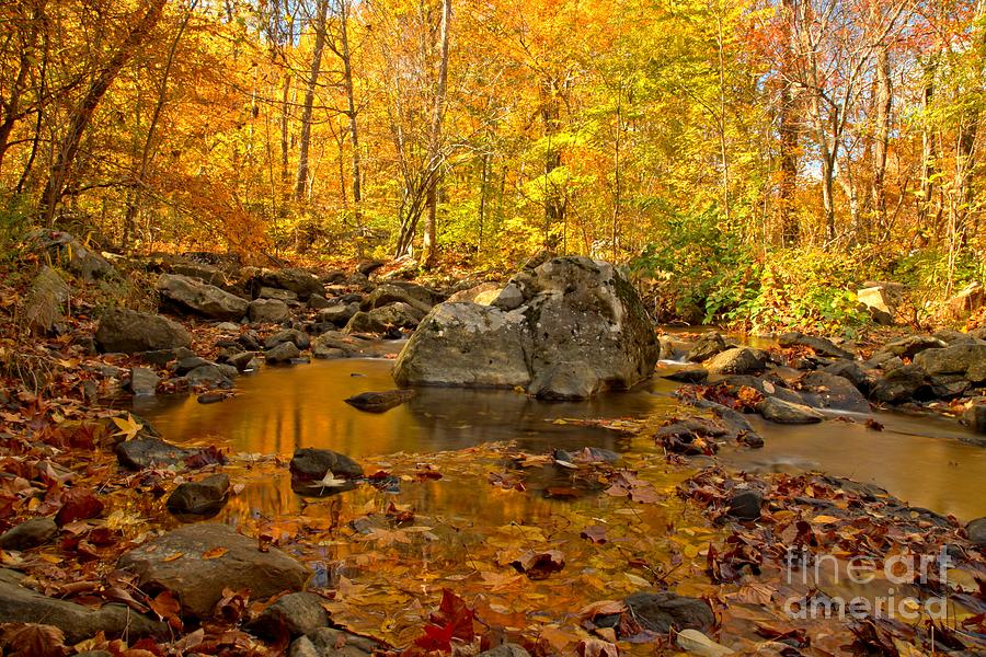 Fall Stream Photograph - Golden Streams At New River Gorge by Adam Jewell