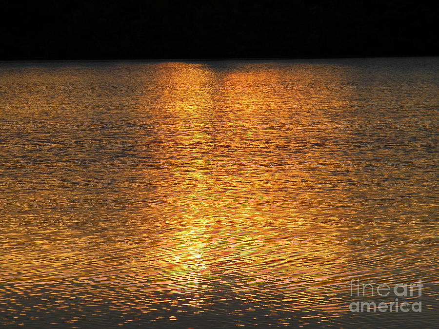 Golden Summer Sunset Photograph by Matthew Seufer