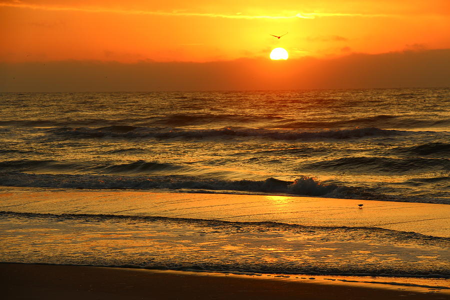 Golden Sun up reflection Photograph by Rand Wall - Fine Art America