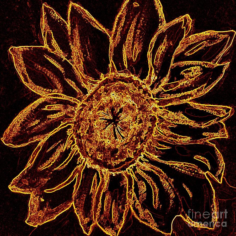 Golden Sunflower - Abstract Art Photograph by Carol Groenen