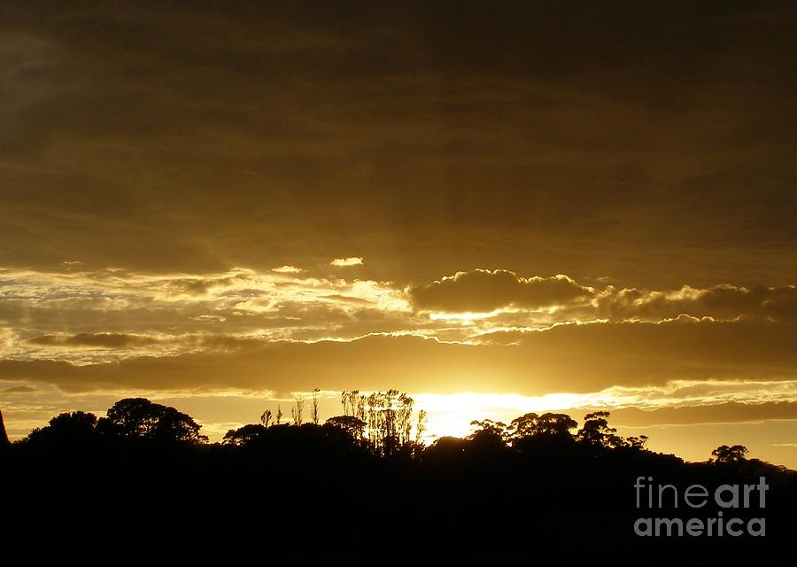 Golden Sunrise Photograph by Bev Conover