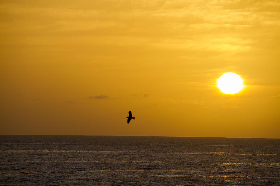Golden Sunrise Photograph by Chris Smith
