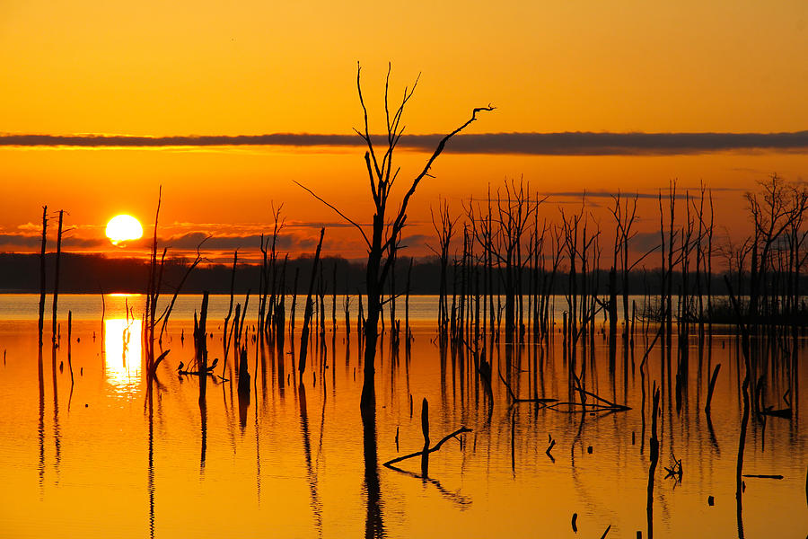 Golden Sunrise II Photograph by Roger Becker