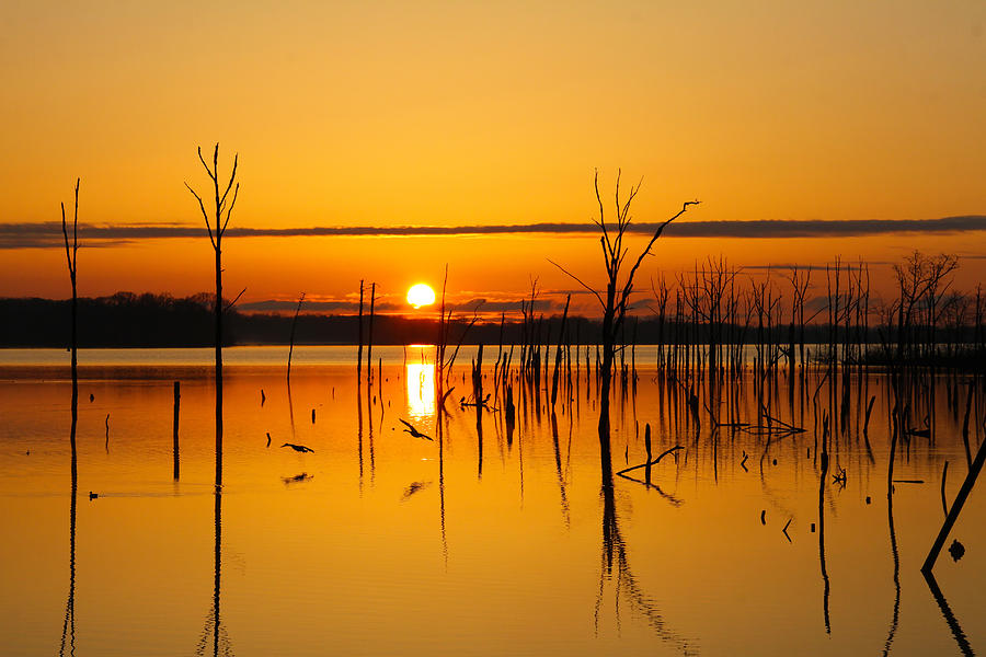 Golden Sunrise III Photograph by Roger Becker