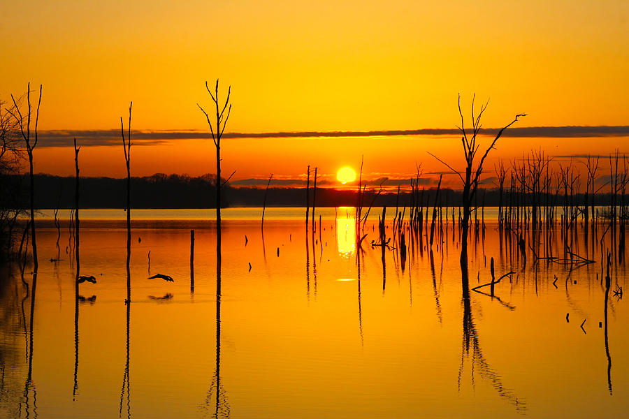 Golden Sunrise IV Photograph by Roger Becker