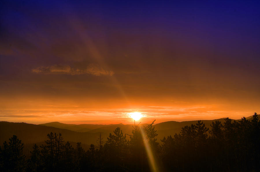 Golden Sunrise Photograph by Matt Swinden