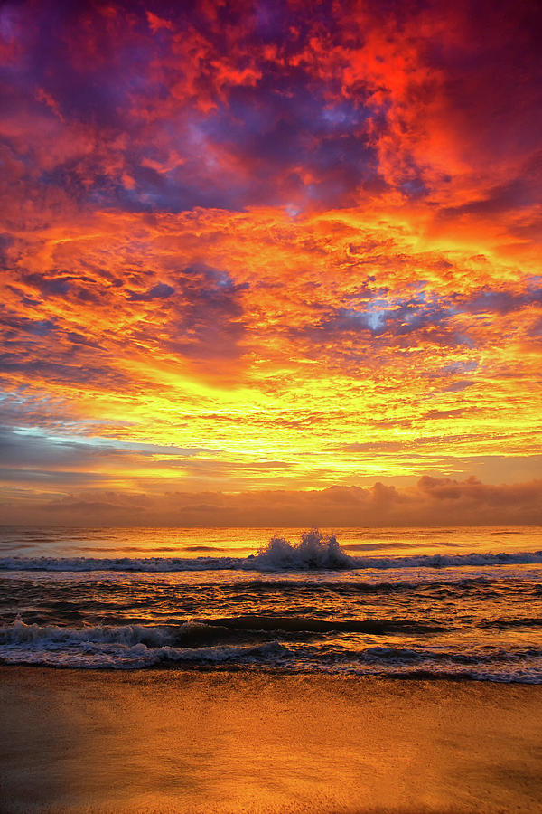 Golden Sunrise On Desert Beach Photograph by David Santiago Garcia ...