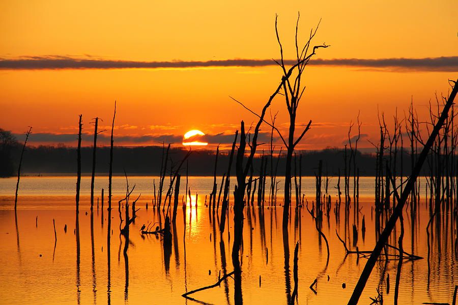 Golden Sunrise Photograph by Roger Becker