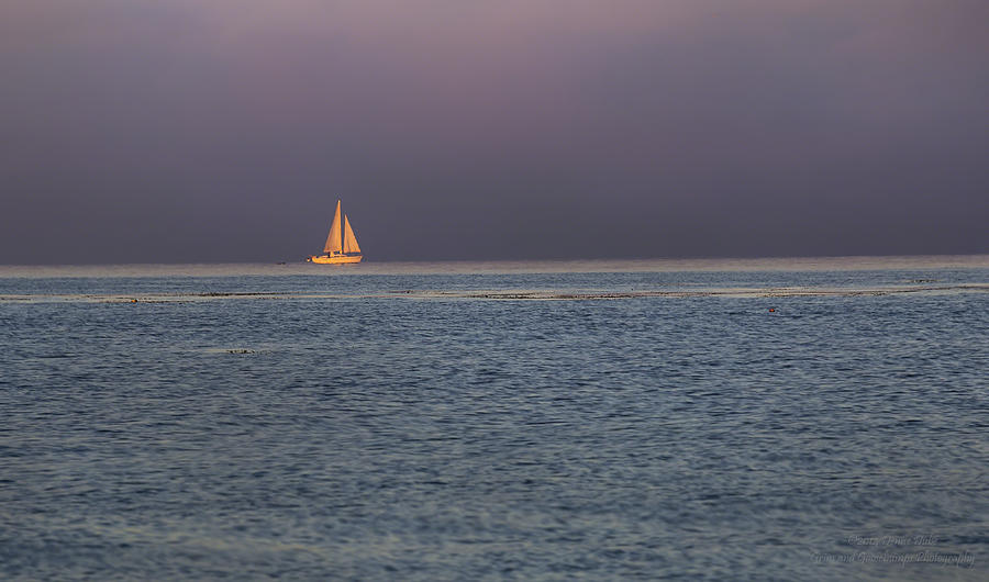 Golden Sunrise Sails By Denise Dube Photograph by Denise Dube