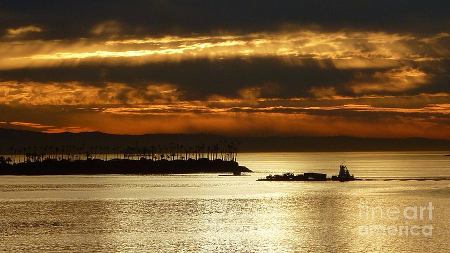 Golden Sunrise Photograph by Susan Garren