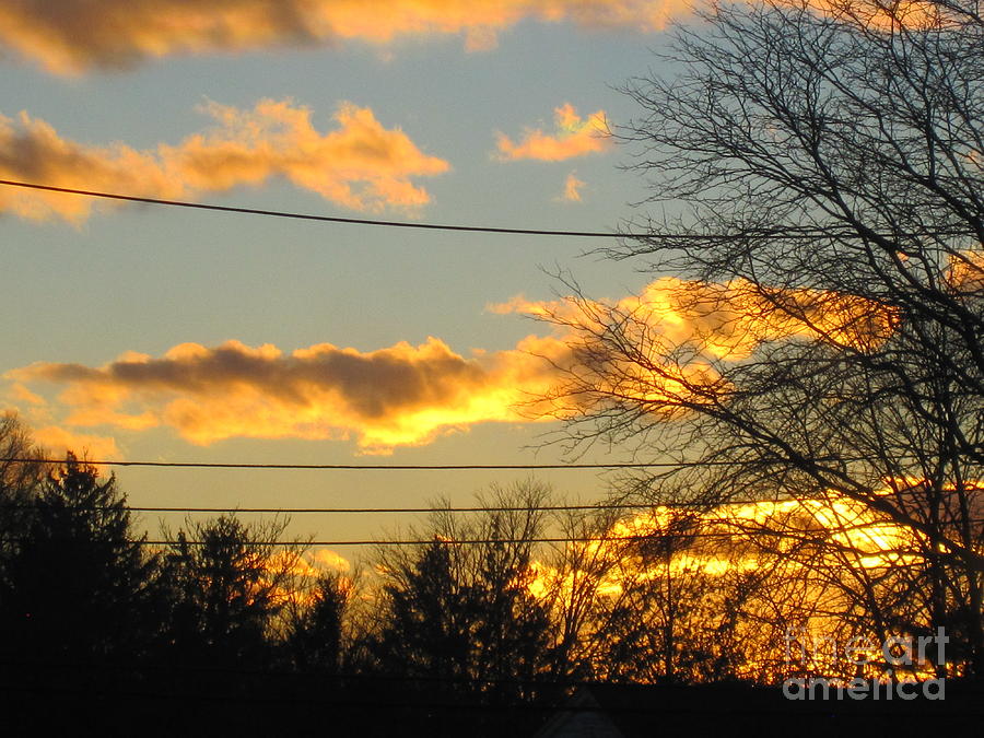 Golden Sunset 2 Photograph by Tara  Shalton
