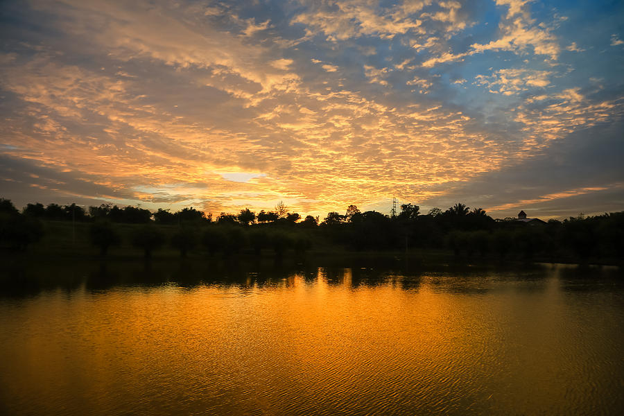 Golden Sunset Photograph by Anson Lee