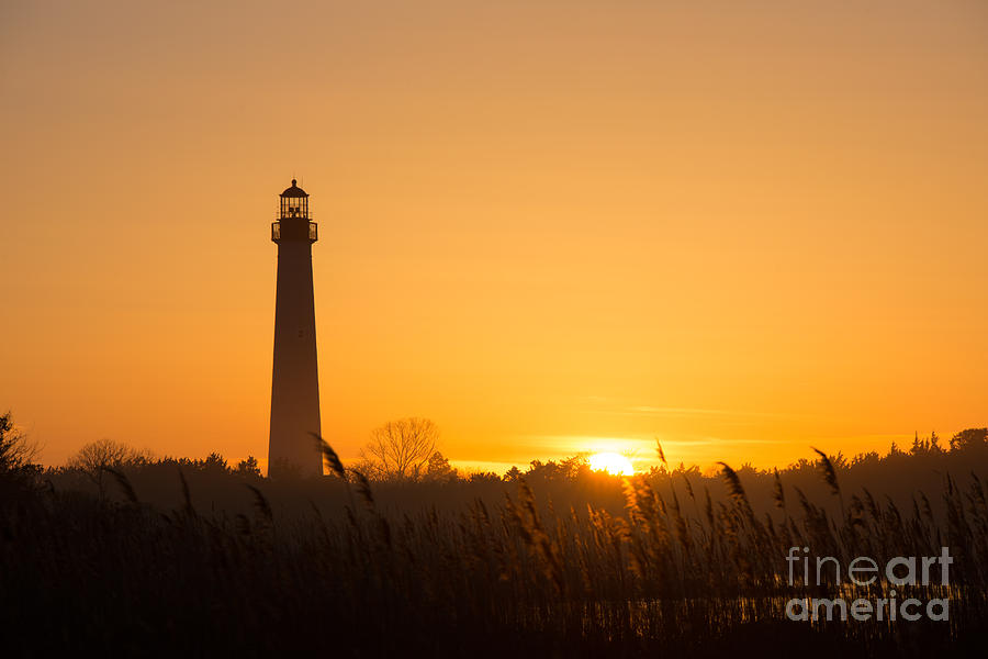 Black And White Photograph - Golden Sunset at Cape May Lighthouse by Michael Ver Sprill
