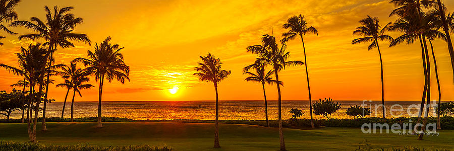 Golden Sunset at Ko Olina Photograph by Aloha Art