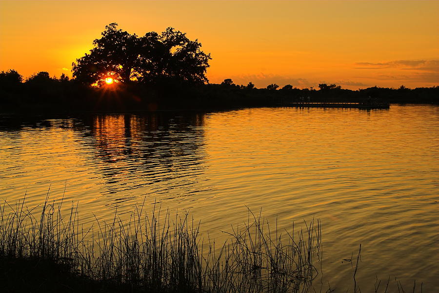 Golden Sunset Photograph by Chuck De La Rosa