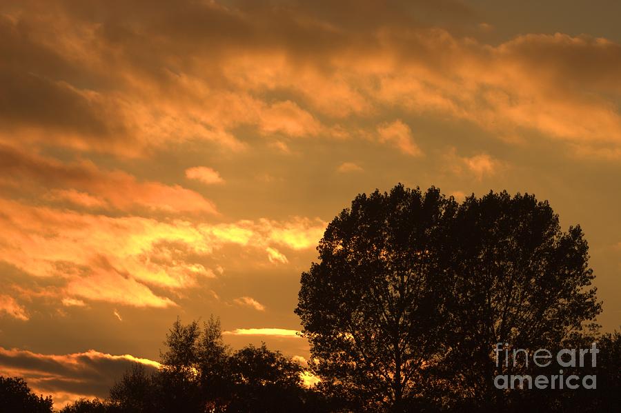 Golden Sunset Clouds Photograph by Jeremy Hayden