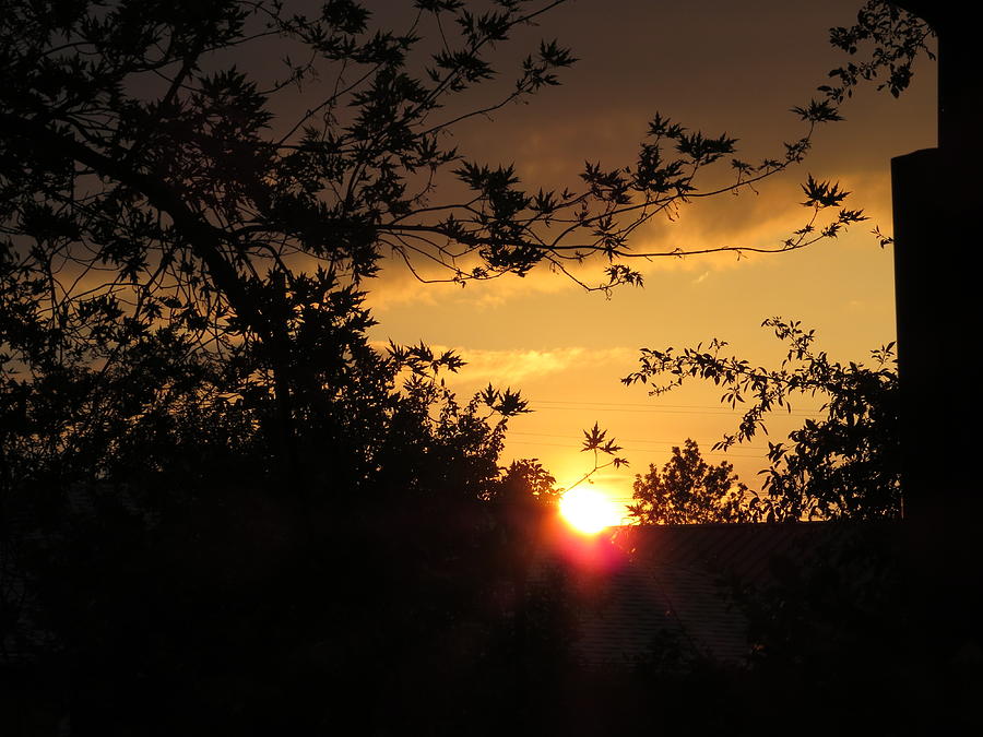 Sunset Photograph - Golden Sunset by Elisabeth Ann