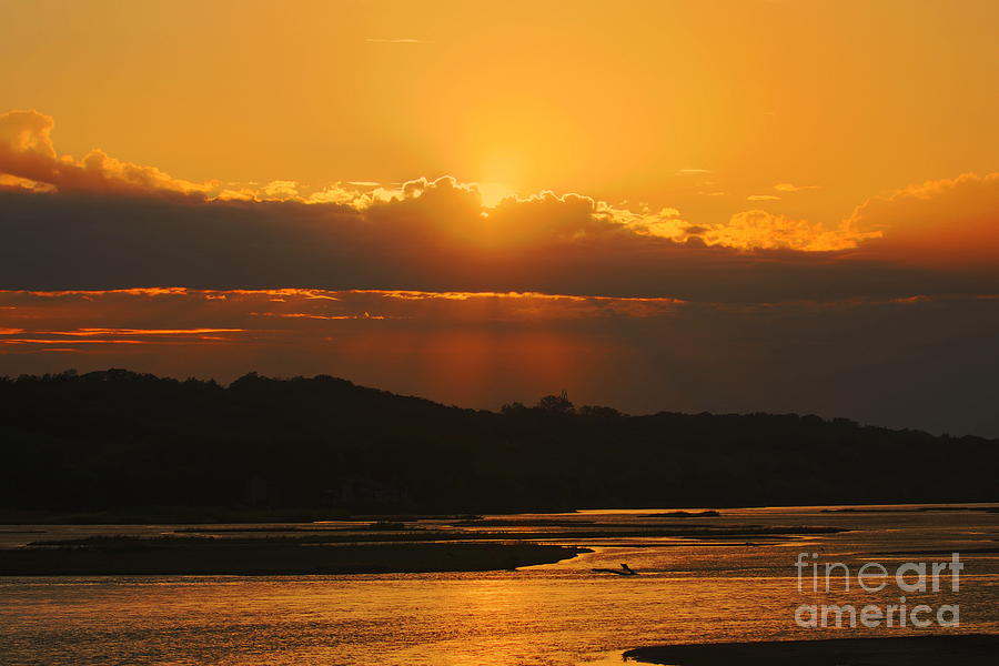 Golden Sunset Photograph by Elizabeth Winter