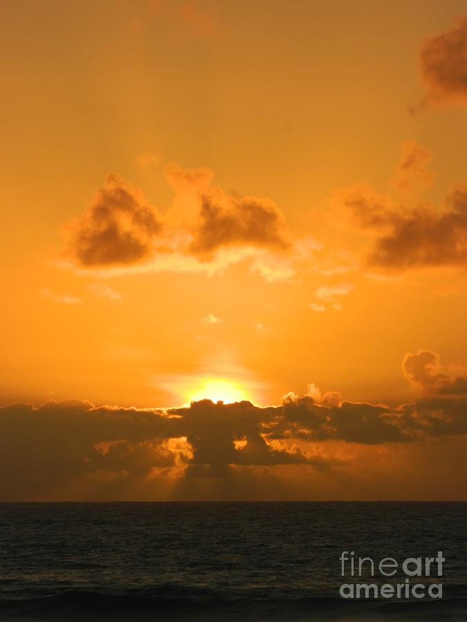 Golden Sunset Photograph by Gallery Of Hope 