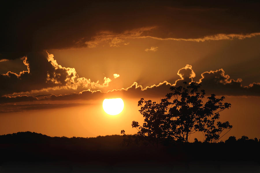Golden Sunset Photograph by Gene Walls