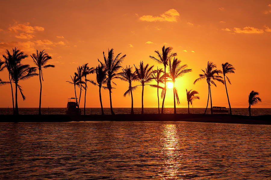 Golden Sunset In An Orange Sky Photograph by Scott Mead