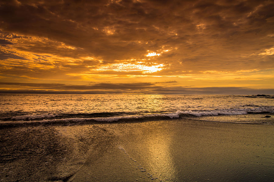 Golden Sunset Photograph by Janet  Kopper