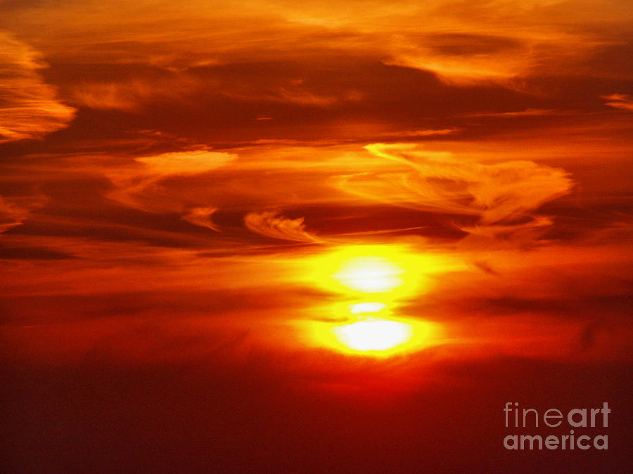 Golden Sunset Photograph by Nina Ficur Feenan